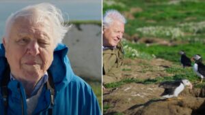 Sir David Attenborough returning to TV screens this weekend with brand new series
