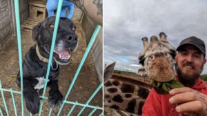 The Manchester man who’s been rescuing animals from the frontline in Ukraine