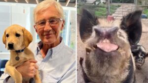 Paul O’Grady’s heartbreaking last post before his ‘unexpected’ death