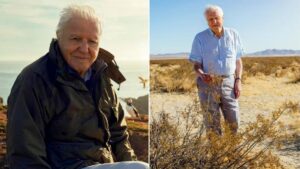 David Attenborough voted Britain’s all time favourite TV presenter