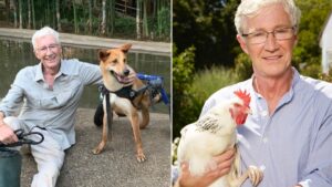 Battersea Dogs to form guard of honour for Paul O’Grady’s funeral today