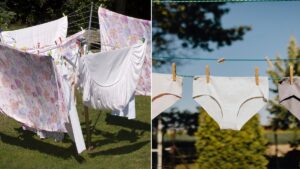 Neighbour complains laundry hanging on washing line is ‘ruining her view’