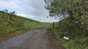 Four dead dogs found dumped by side of road in plastic bags