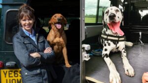 Channel 4 looking for nation’s naughtiest pets for new series of Dog Academy