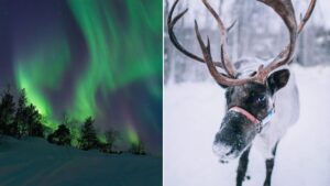 EasyJet launches two flights a week to Lapland from Manchester this Christmas