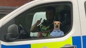 Police take ‘smartly dressed’ dog into care after removing it from owner