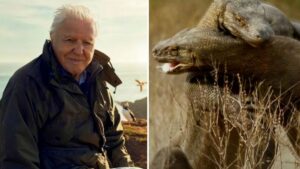 Sir David Attenborough is returning to our screens with new TV series at 97