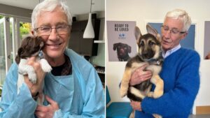 Paul O’Grady wins posthumous National TV Award six months after his passing