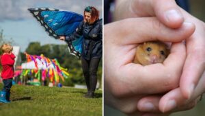 Chester Zoo is throwing a huge FREE wildlife festival this month