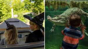 Chester Zoo launches new ‘mystical’ Halloween trail with ‘enchanted river boat ride’