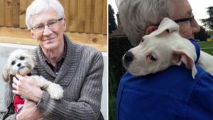 Battersea Dogs and Cats Home’s veterinary hospital to be named after Paul O’Grady