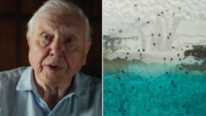 Sir David Attenborough returns to TV screens this weekend for Planet Earth III