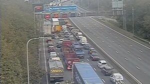 ‘Cows on road’ stop all traffic on section of M62 motorway