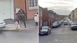 Man arrested after 10-year-old boy bitten by ‘XL Bully’ in Lancashire