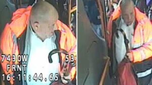 Police release images of man they want to speak to after teenage girl assaulted