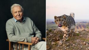 Sir David Attenborough is back to present major new BBC documentary series