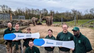 Blackpool Zoo announces exciting news as two baby elephants due in late 2024