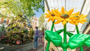 Manchester Flower Festival returns with tributes to Sarah Harding and Caroline Aherne
