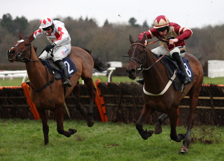 Ballygrifincottage (left), has made a pleasing start to his chasing career and could run in Grade One company on Boxing Day