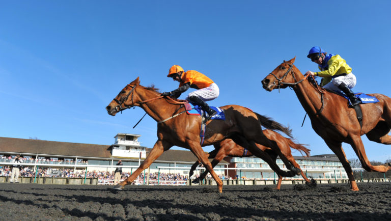 Premio Loco won the Winter Derby for Chris Wall