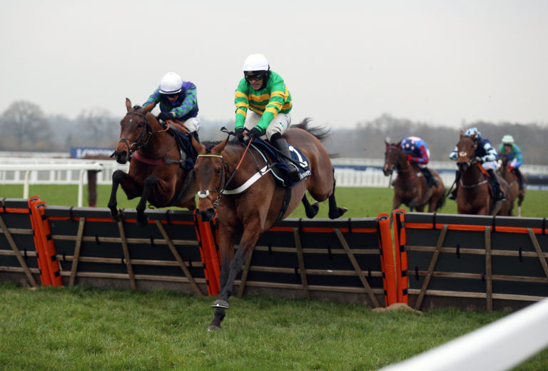 Champ on his way to victory in last year's Long Walk Hurdle
