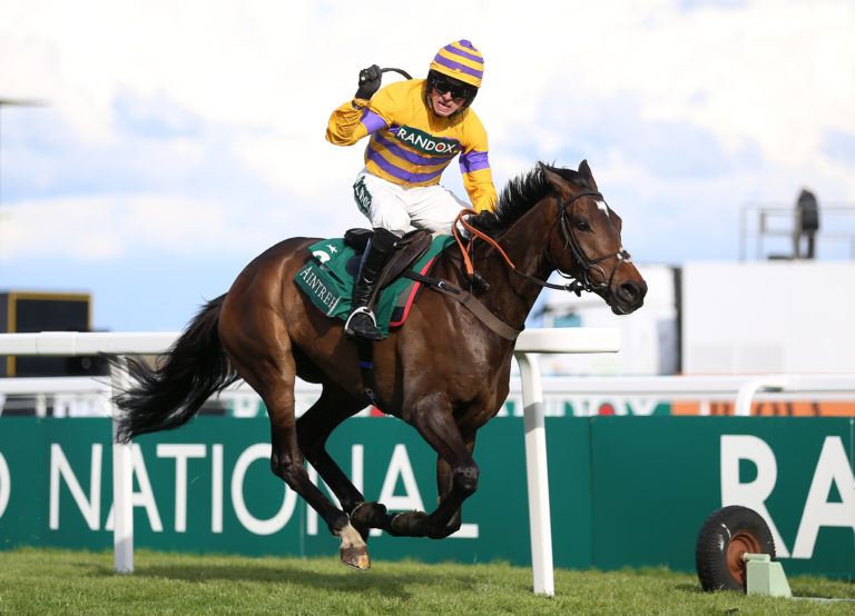 Gelino Bello was a Grade One winner at the Grand National meeting