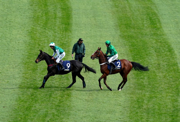 Fautinette (right) could make her return over the Christmas period