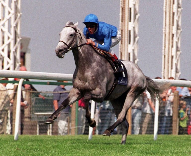 Daylami was a real flag-bearer for Godolphin