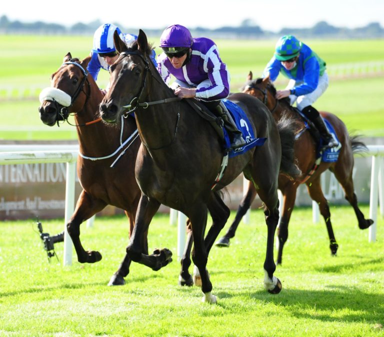 High Definition (near side) makes his hurdles debut