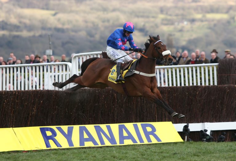 Cue Card and Joe Tizzard in full flight on the way to glory in the Ryanair Chase