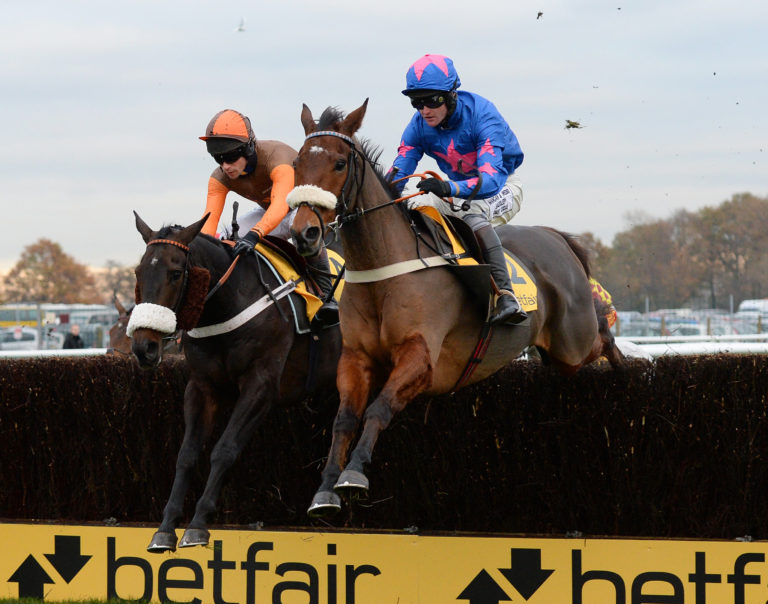 Cue Card got the better of a field that included Long Run in his first Betfair Chase
