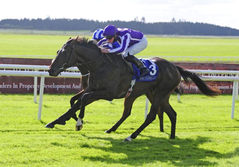 High Definition looked like being a real star at one stage on the Flat