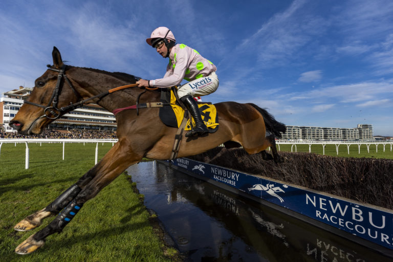 Royale Pagaille, here running in the Denman Chase at Newbury, has been handed an assignment in the King George VI Chase at Kempton on Boxing Day