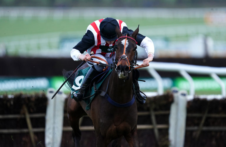 Hector Javilex was a Cheltenham winner