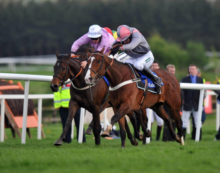 Solwhit and Davy Russell (left) beat Punjabi and Barry Geraghty in the Garde One Rabobank Hurdle at Punchestown in 2009