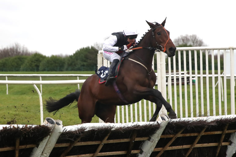 Hidden Beauty and Paddy Brennan