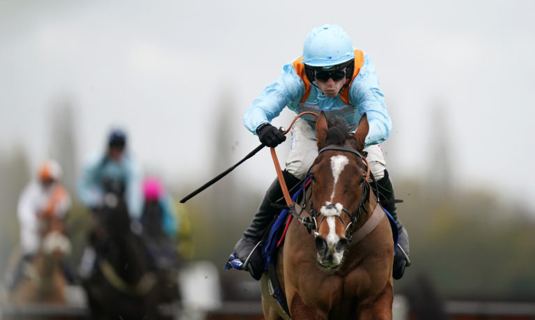 Paul Nicholls' Red Risk