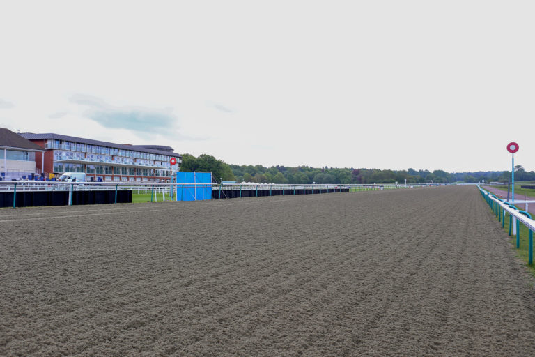Lingfield hosts the feature all-weather meeting