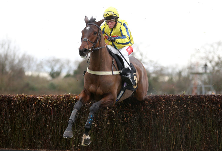 Haddex Des Obeaux was a winner at Warwick last weekend