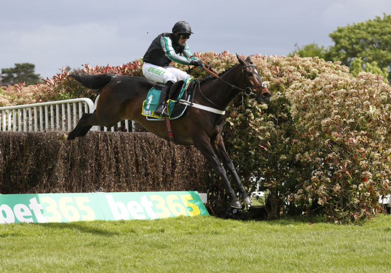 Altior is one of the most popular runners of recent years