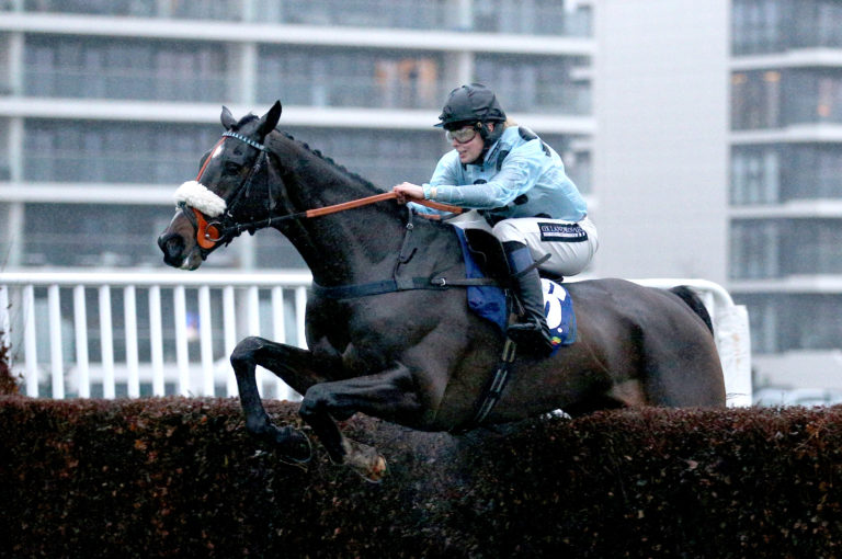 Tea For Free suffered a fall at Doncaster