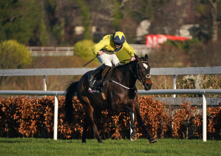 Good Land winning at Leopardstown