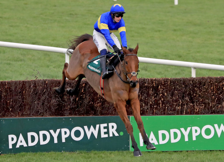 Dysart Dynamo on his way to winning at Leopardstown last month