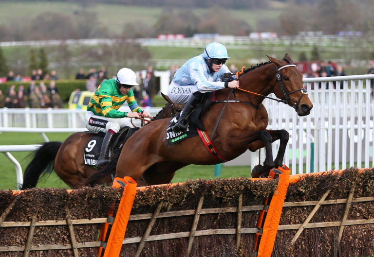 Honeysuckle is a dual Champion Hurdle winner