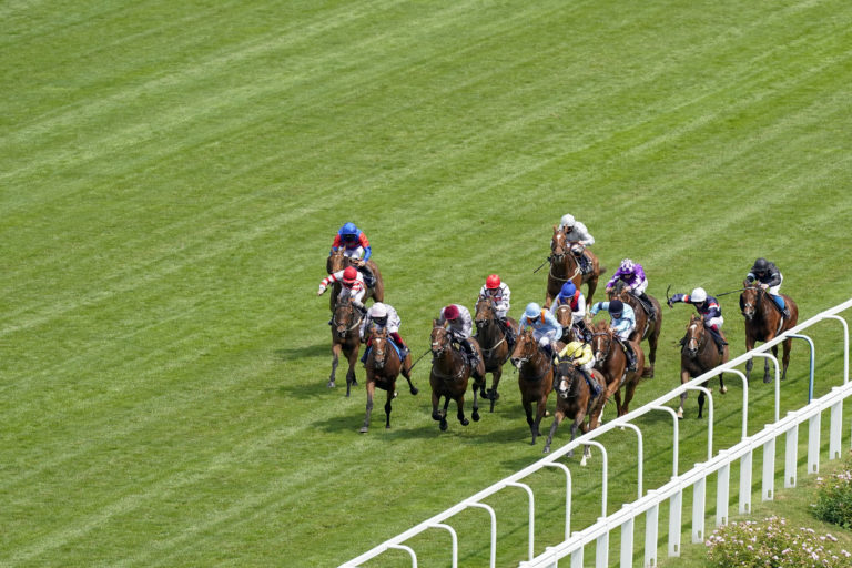 Sir Busker winning at Royal Ascot