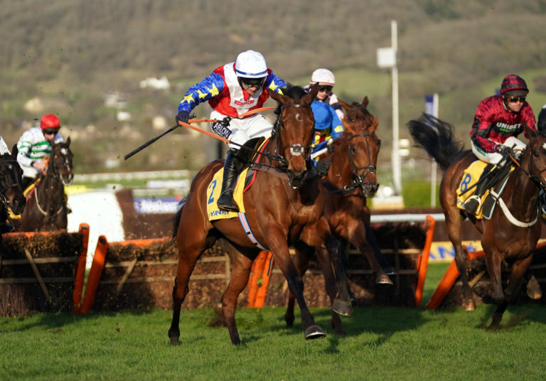 Love Envoi on the way to victory at Cheltenham last year