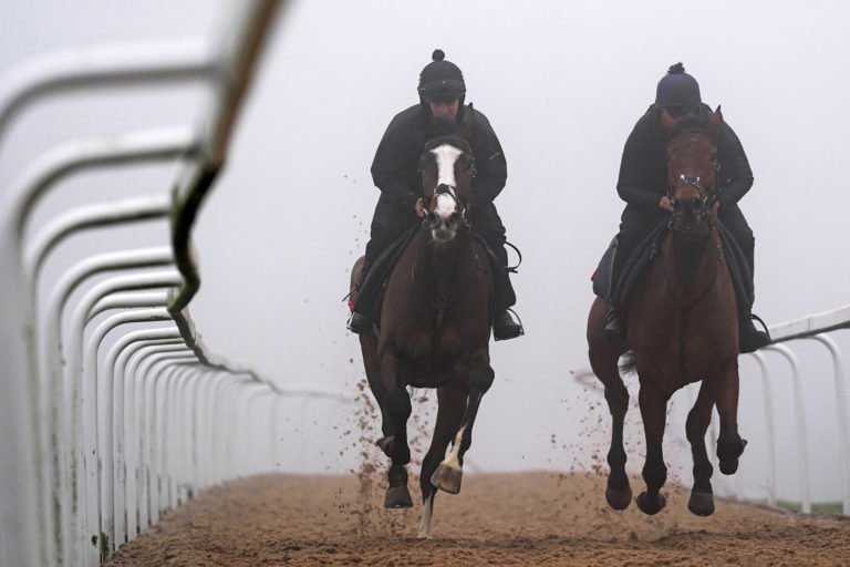 Horses on the gallops during a visit to Dan Skelton's yard