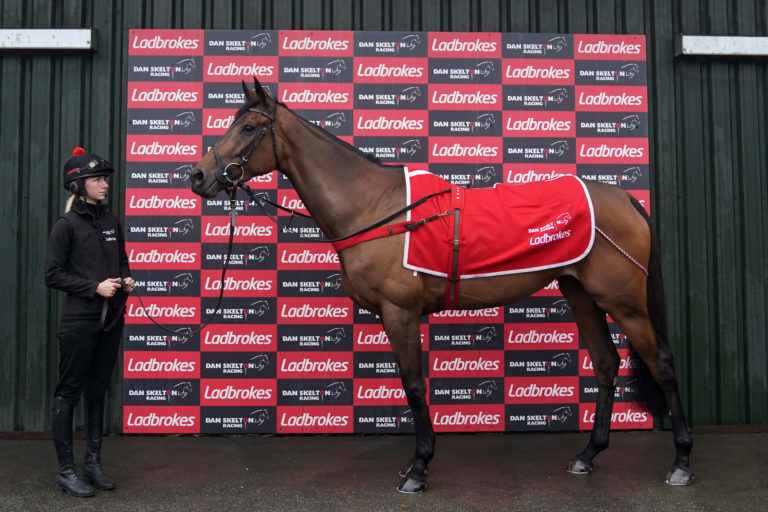 Galia Des Liteaux, during a visit to Dan Skelton's stables at Lodge Hill