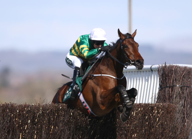 Fakir D'oudairies won the race last year