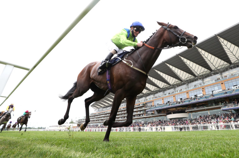Subjectivist was an impressive Ascot winner in 2021